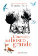 L'incendio del bosco grande